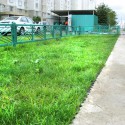 Материалы укрепления и защиты грунта в Казани - газонная решётка, бордюр садовый, георешётка, геотекстиль